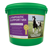 Load image into Gallery viewer, Lymphatic Support Mix - Global Herbs