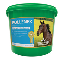 Load image into Gallery viewer, Pollenex - Global Herbs