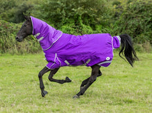 Load image into Gallery viewer, Swish Equestrian 360g Turnout Rug With Detachable Neck - Purple