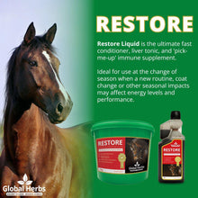 Load image into Gallery viewer, Restore - Global Herbs