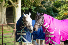 Load image into Gallery viewer, Swish Equestrian 450g Ultimate Fixed Neck Turnout Rug - Mulberry