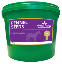 Load image into Gallery viewer, Fennel Seeds - Global Herbs