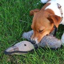Load image into Gallery viewer, Ancol Heritage Tweed Duck
