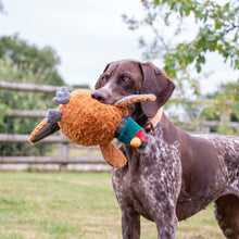 Load image into Gallery viewer, Ancol Heritage Phoebe Pheasant - Dog Toy