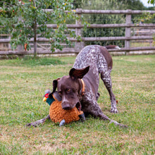 Load image into Gallery viewer, Ancol Heritage Phoebe Pheasant - Dog Toy