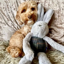 Load image into Gallery viewer, Ancol Heritage Floppy Bunny - Dog Toy