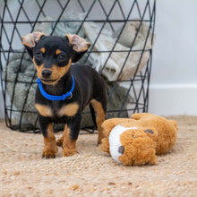 Load image into Gallery viewer, Ancol Heritage Walter Weasel Midi