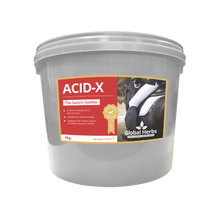 Load image into Gallery viewer, Acid-X - Global Herbs