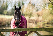 Load image into Gallery viewer, Swiss Equestrian 0g Detachable Neck Turnout Rug - Burgundy