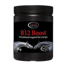 Load image into Gallery viewer, Omega B12 Boost 1kg
