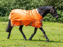 Load image into Gallery viewer, Swiss Equestrian 0g Detachable Neck Turnout Rug - Orange