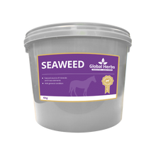 Load image into Gallery viewer, Seaweed - Global Herbs