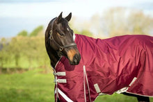 Load image into Gallery viewer, Swiss Equestrian 0g Detachable Neck Turnout Rug - Burgundy