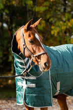 Load image into Gallery viewer, Swish Equestrian 100g Stable Rug With Detachable Neck - Hunter Green