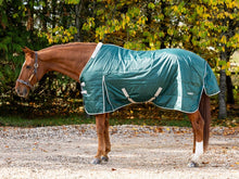 Load image into Gallery viewer, Swish Equestrian 100g Stable Rug With Detachable Neck - Hunter Green