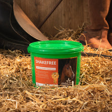 Load image into Gallery viewer, Shakefree 1kg - Global Herbs