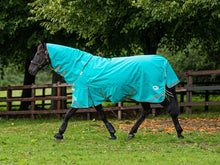 Load image into Gallery viewer, Swish Equestrian 100g Detachable Neck Turnout Rug - Peppermint
