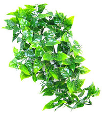 Load image into Gallery viewer, Zoo Med Naturalistic Flora Vine Medium