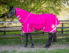 Load image into Gallery viewer, Swiss Equestrian 0g Detachable Neck Turnout Rug - Pink
