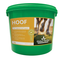 Load image into Gallery viewer, Hoof - Global Herbs
