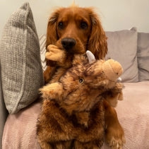 Load image into Gallery viewer, Ancol Heritage Huge Hog - Dog Toy
