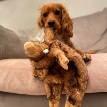 Load image into Gallery viewer, Ancol Heritage Huge Hog - Dog Toy
