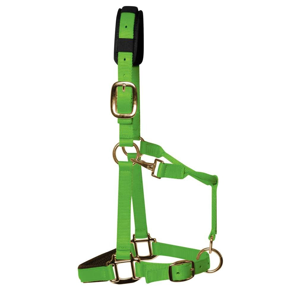 KM Elite HeadCollar M Cob Green