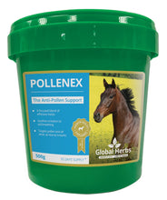 Load image into Gallery viewer, Pollenex - Global Herbs
