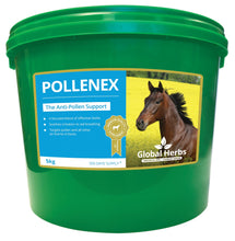 Load image into Gallery viewer, Pollenex - Global Herbs
