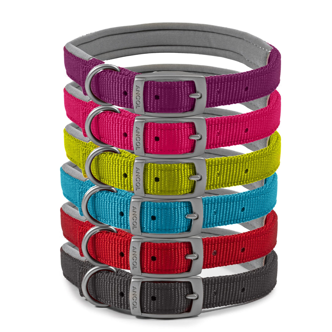 Viva Padded Collar size 6 (Black, Blue, Red)