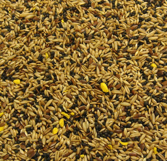 Canary Seed 1kg