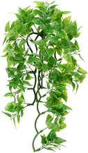 Load image into Gallery viewer, Zoo Med Naturalistic Flora Vine Medium
