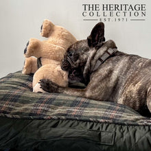 Load image into Gallery viewer, Ancol Heritage Tartan Bear - Dog Toy
