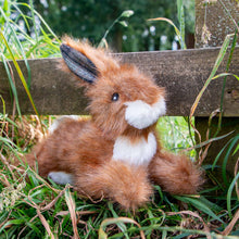 Load image into Gallery viewer, Ancol Heritage Harris Hare - Dog Toy
