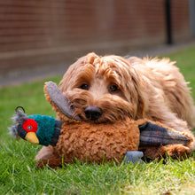 Load image into Gallery viewer, Ancol Heritage Phoebe Pheasant - Dog Toy
