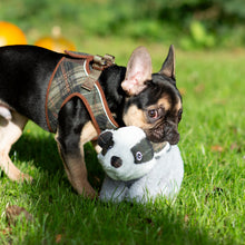 Load image into Gallery viewer, Ancol Heritage Badger - Dog Toy
