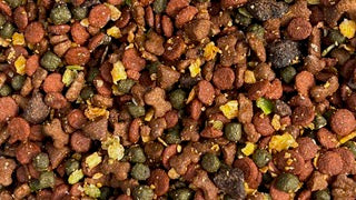 Forest Pet Supplies Meaty Mix 2kg