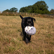 Load image into Gallery viewer, Ancol Heritage Harry Hedgehog - Dog Toy
