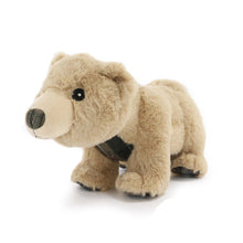 Load image into Gallery viewer, Ancol Heritage Tartan Bear - Dog Toy

