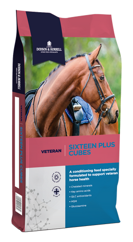 Dodson and Horrell Sixteen Plus cubes 20kg - Forest Pet Supplies