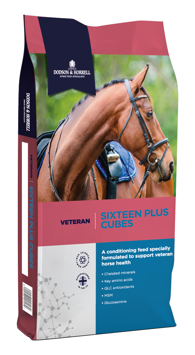 Dodson and Horrell Sixteen Plus cubes 20kg - Forest Pet Supplies