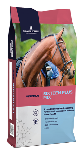 Dodson and Horrell Sixteen Plus Mix 20kg - Forest Pet Supplies