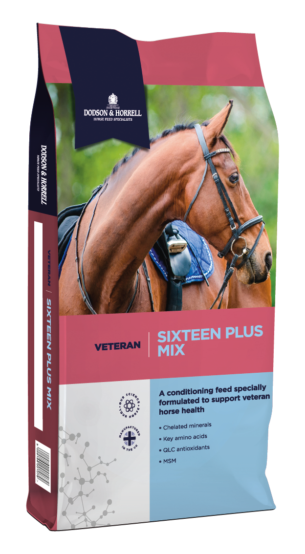 Dodson and Horrell Sixteen Plus Mix 20kg - Forest Pet Supplies