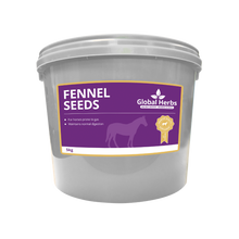 Load image into Gallery viewer, Fennel Seeds  - Global Herbs
