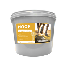 Load image into Gallery viewer, Hoof - Global Herbs
