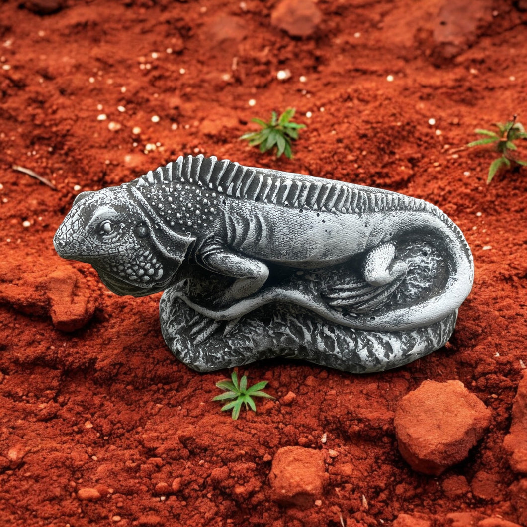 Cinder Lizard Concrete Lizard Statue £5 – Riker’s Raw and Natural Pet Food