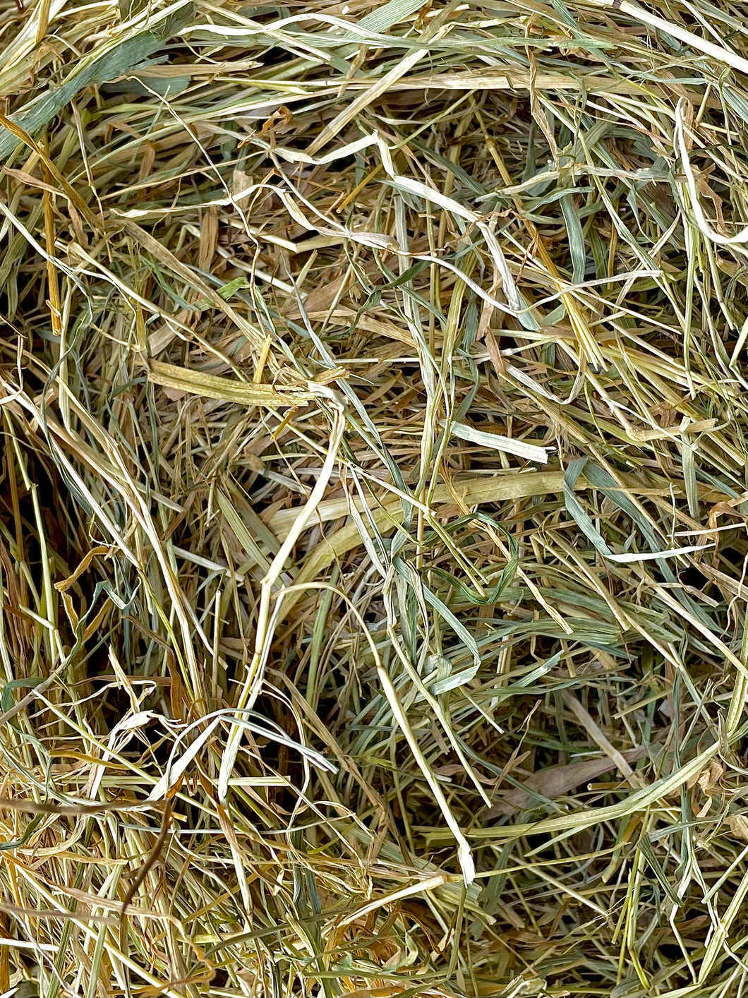 Small Bag of Hay