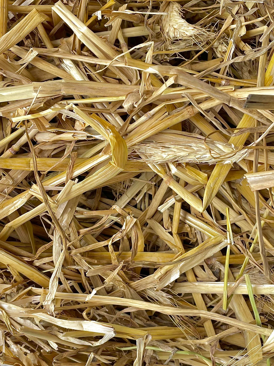 Small Bag of Straw 25 Litres