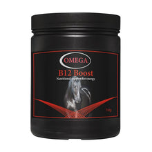 Load image into Gallery viewer, Omega B12 Boost 1kg - Forest Pet Supplies
