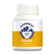 Load image into Gallery viewer, Dorwest Turmeric 100 Tablets

